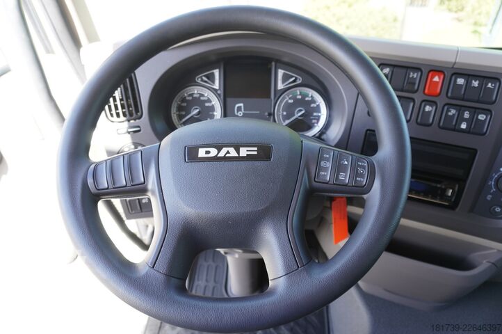 Contenedor DAF LF 12.210 18-pallet container with tail