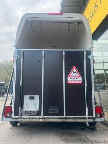 Prikolica za prevoz konja SLUIS Stinger Pferdeanhänger Aluboden SK