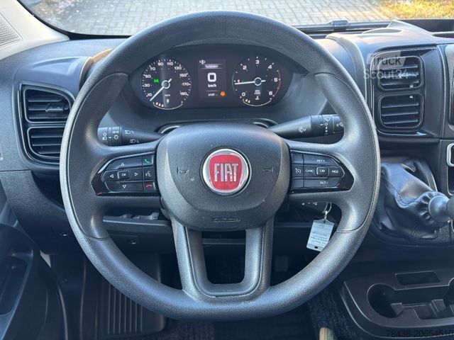 Ledusskapja furgons FIAT Ducato Maxi|L4H2|0°C|FRISCHDIENST|WEBASTO+WINTER