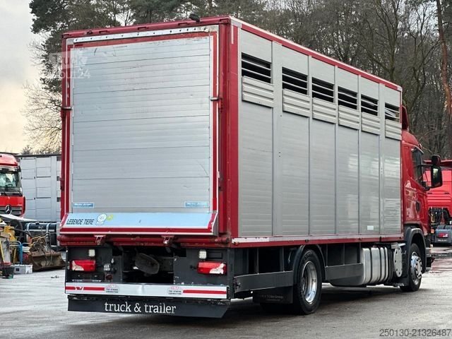 Camion pour bétail SCANIA G380 BL 4x2 1.Stock Menke-Janzen Viehw. *UNFALL*