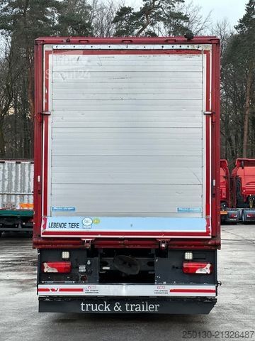 Camion pour bétail SCANIA G380 BL 4x2 1.Stock Menke-Janzen Viehw. *UNFALL*