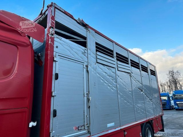 Camion pour bétail SCANIA G380 BL 4x2 1.Stock Menke-Janzen Viehw. *UNFALL*