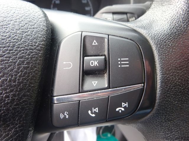 Panelinis furgonas FORD Transit Custom Kasten 280 L1H1 LKW Trend Klima