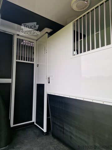 Paarden transport Renault Master MTM S3 EXCLUSIVE ! Nieuw model paardenwa...