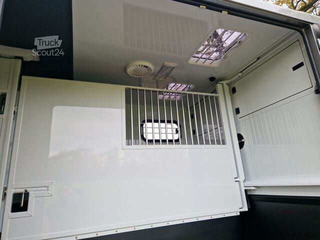 Paarden transport Renault Master MTM S3 EXCLUSIVE ! Nieuw model paardenwa...