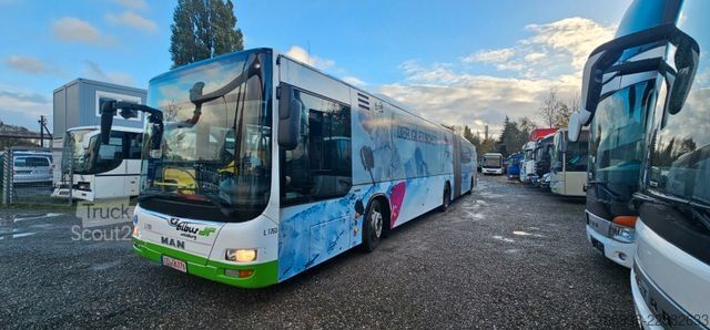 Autobus przegubowy MAN 2 x  Lion?s City G A 23 G , Citaro 530 G