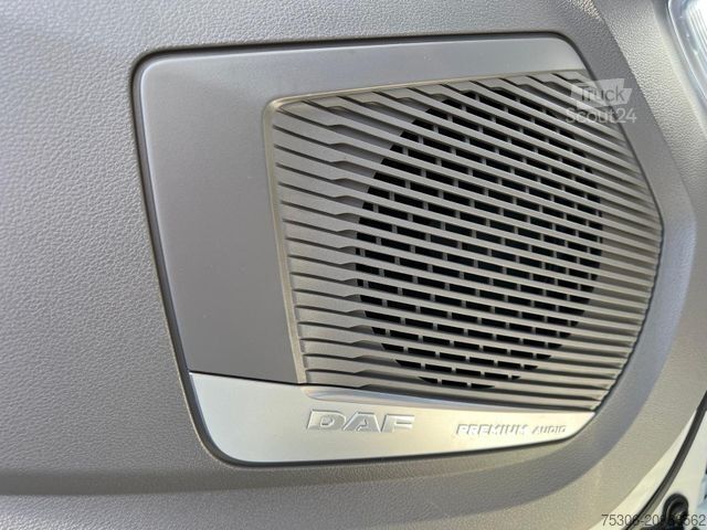 Standardni vlačilec DAF XF 480 FT mit ADR Ausstattung