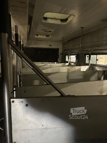 Horse carrier Mercedes-Benz Actros 2641