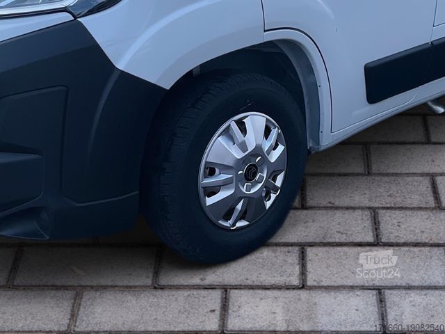 Kastenwagen Wohnmobil / Campervan BÜRSTNER Papillon PC 6.0 AB SOFORT IN MANNHEIM