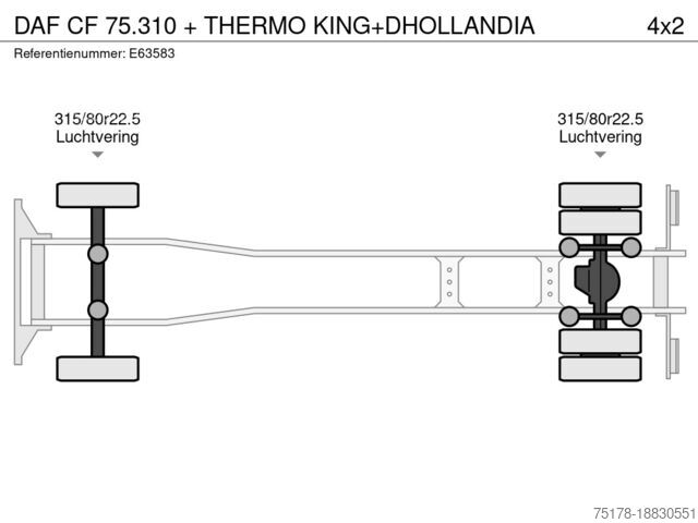 النقل المبرد / المجمد DAF CF 75.310 + THERMO KING+DHOLLANDIA
