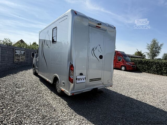 Transporte de caballos Renault Master | HORSETRUCK | SODIAK | STALLION 3XL | 2...