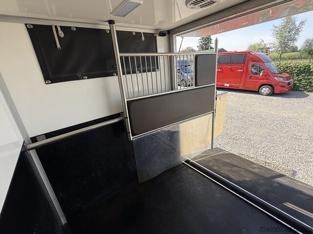 Transport de chevaux Renault Master | HORSETRUCK | SODIAK | STALLION 3XL | 2...