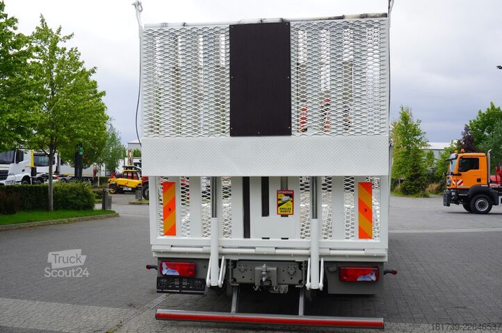Plataforma MAN MAN TGS 35.360 8×2 / HDS FASSI F165A.2.2