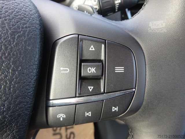 Miniautocarro FORD Transit Kombi 350 L3H2 Trend 360Kam Navi 9Sitz