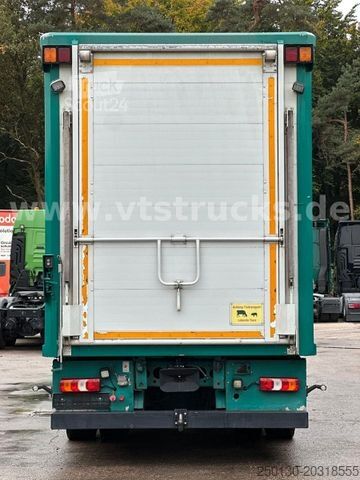 Szarvasmarha-szállító teherautó MERCEDES-BENZ Actros 1842 4x2 KA-BA 2-Stock Viehaufbau