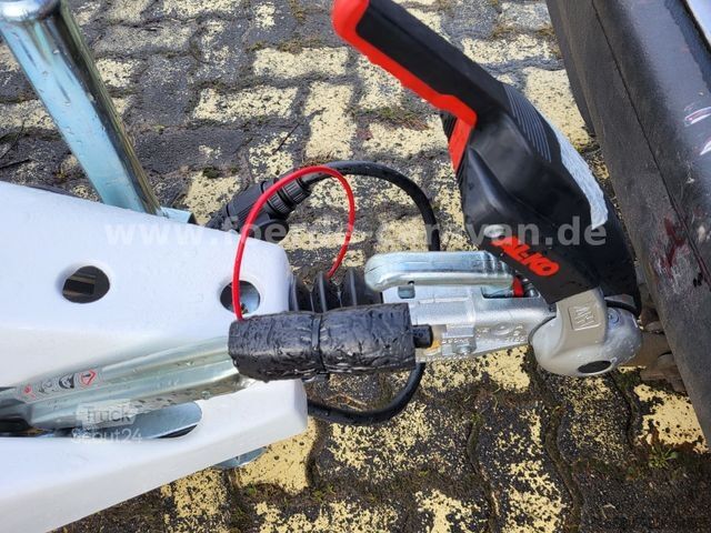 Caravan NIEWIADOW N 126 NTL - Nr. 118 (2)