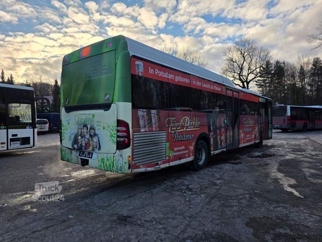 Medkrajevni avtobus MERCEDES-BENZ Citaro O530 LE, Gurtem Armlehnen, Gardinen