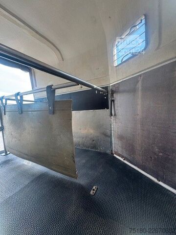 Paardentransportaanhanger BÖCKMANN P11 Kutschanhänger 2,4t Pferdeanhänger