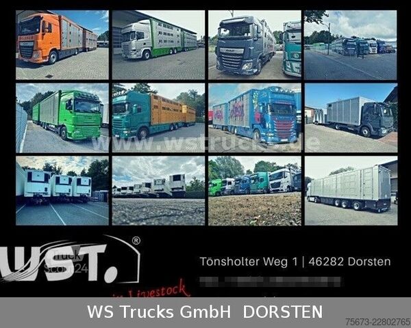 Vrachtwagen met bakwagen MAN TGL 8.150 Koffer Blatt/Blatt