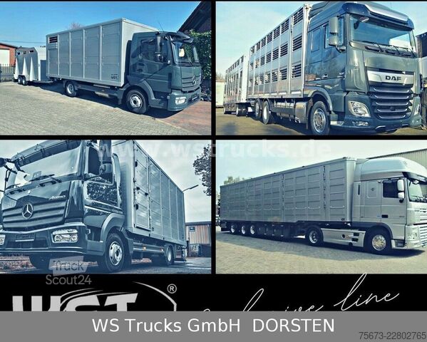 Vrachtwagen met bakwagen MAN TGL 8.150 Koffer Blatt/Blatt