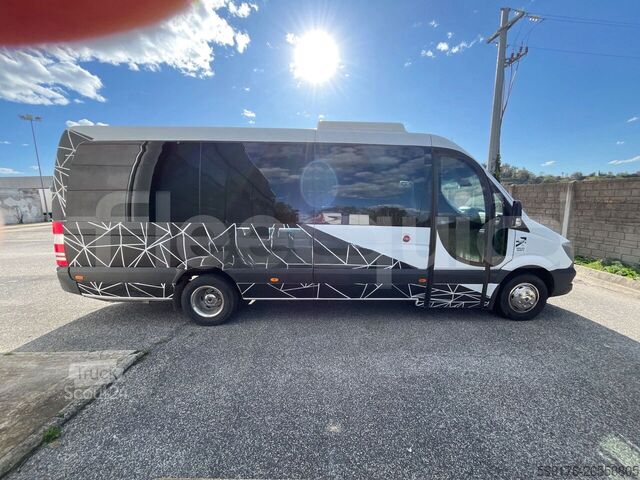 Passenger transport Mercedes-Benz Sprinter