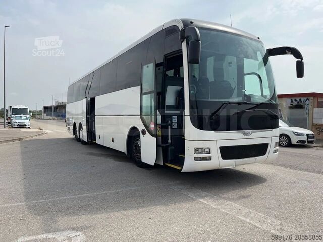 Treneris MAN Lion's Coach