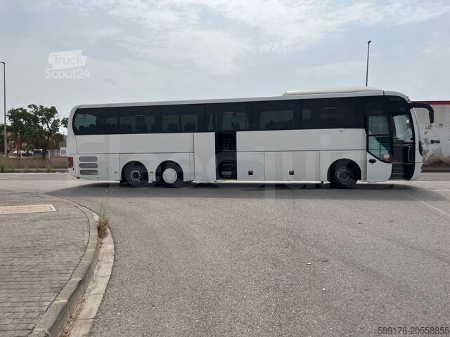 Treneris MAN Lion's Coach