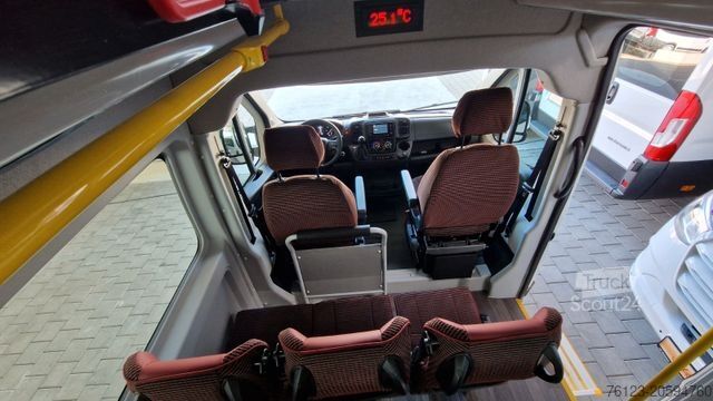 Minibus FIAT 3x Ducato 2x Opel Movano 18 SS in Stock