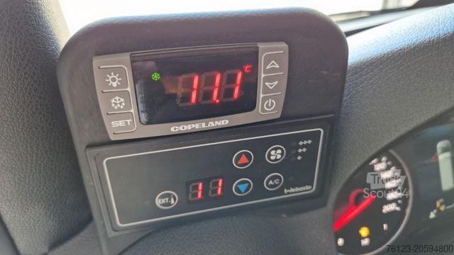 Minibüs MERCEDES-BENZ 519  Allrad 4 x 4 Vorlauffahrzeug  neue ADA