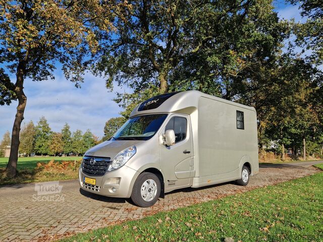 Transport av hästar Renault Master Occasion hengsten uitvoering paardenwage...