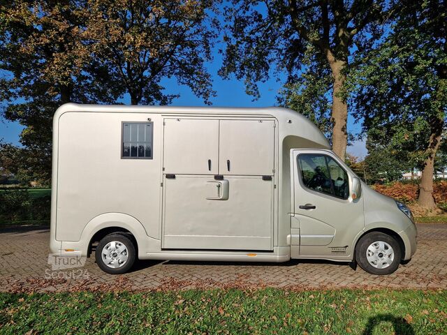 Transport av hästar Renault Master Occasion hengsten uitvoering paardenwage...