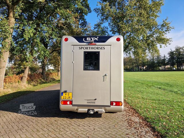 Transport av hästar Renault Master Occasion hengsten uitvoering paardenwage...