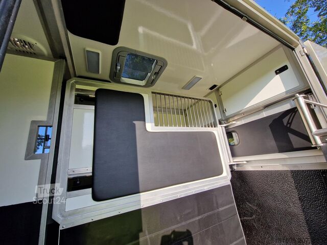 Transport av hästar Renault Master Occasion hengsten uitvoering paardenwage...