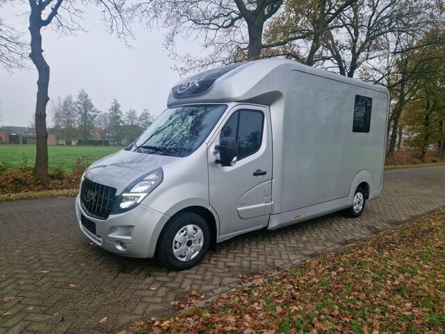 Transport av hester Opel Movano Occasion paardenwagen STX hengsten uitvo...