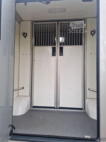 Transport av hester Opel Movano Occasion paardenwagen STX hengsten uitvo...
