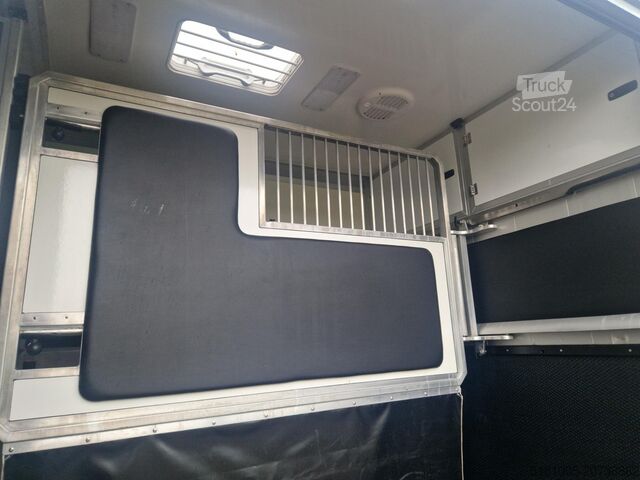 Transport av hester Opel Movano Occasion paardenwagen STX hengsten uitvo...