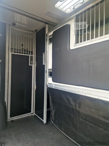 Transport av hester Opel Movano Occasion paardenwagen STX hengsten uitvo...