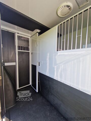 Paarden transport Renault Master MTM S3 EXCLUSIVE ! Nieuw model paardenwa...