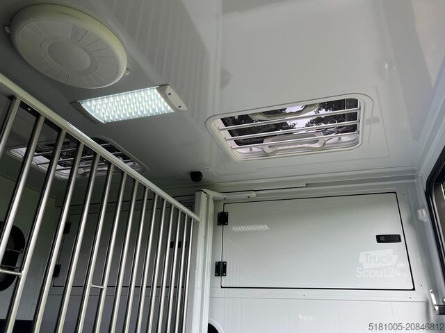 Transporte de caballos Renault Master MTM S3 EXCLUSIVE ! Nieuw model paardenwa...