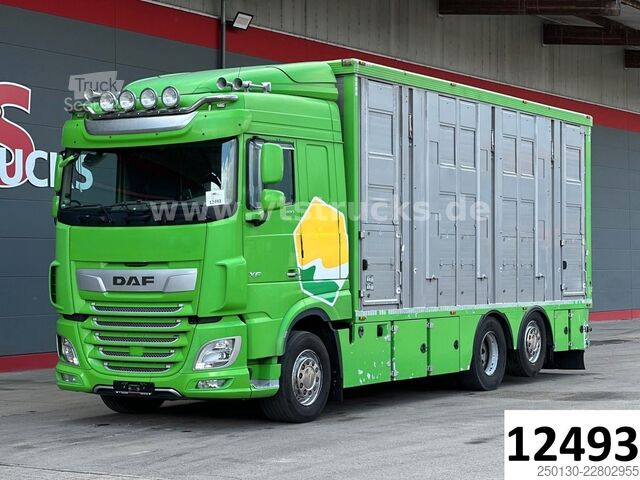 Kreaturvogn DAF XF 480 LL 6x2 3.Stock Menke Viehwagen m. Hubdach