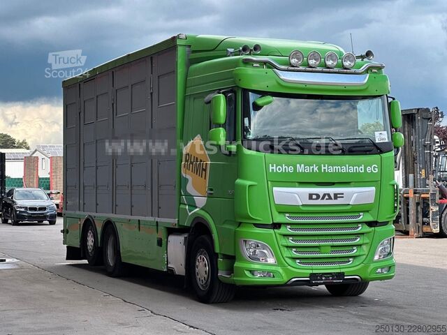 Kreaturvogn DAF XF 480 LL 6x2 3.Stock Menke Viehwagen m. Hubdach