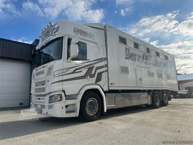 Galvijų vežimas Scania R500 6x2 livestock truck – 12 cattle or 120 sheep/