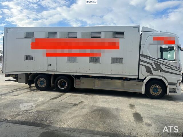 Galvijų vežimas Scania R500 6x2 livestock truck – 12 cattle or 120 sheep/