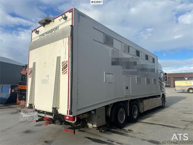 Galvijų vežimas Scania R500 6x2 livestock truck – 12 cattle or 120 sheep/