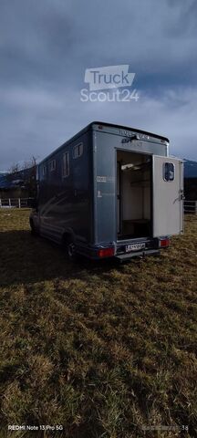 Camión para transporte de caballos Peugeot Boxer- Equitrek Sonic