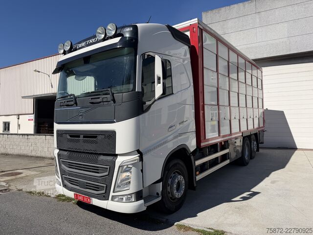 Kreaturvogn Volvo FH 13 500 6X 26T EURO 6 GANADO