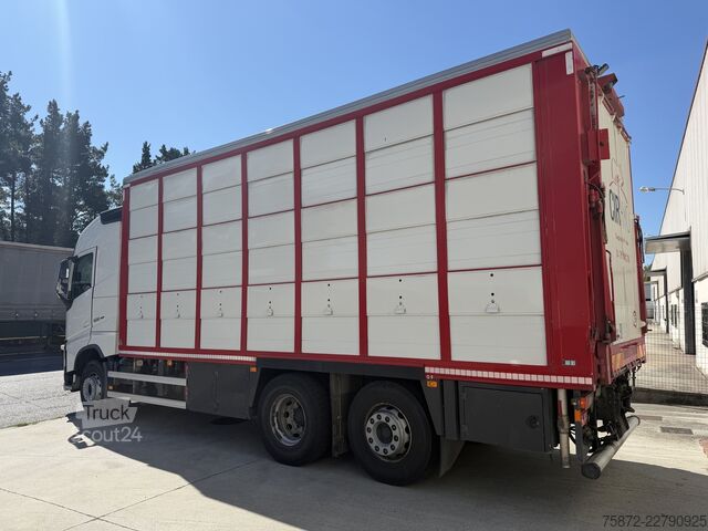 Kreaturvogn Volvo FH 13 500 6X 26T EURO 6 GANADO