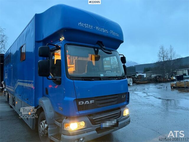 Prevoz goveda DAF Fa 55