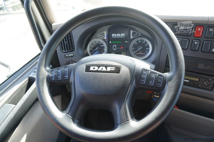 Prelată DAF LF 260/ Curtainsider 21 EPAL/ 80 tho. km