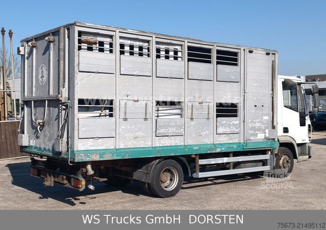 Transporteur de bétail IVECO ML 1Q Viehtransporter 1 Stock